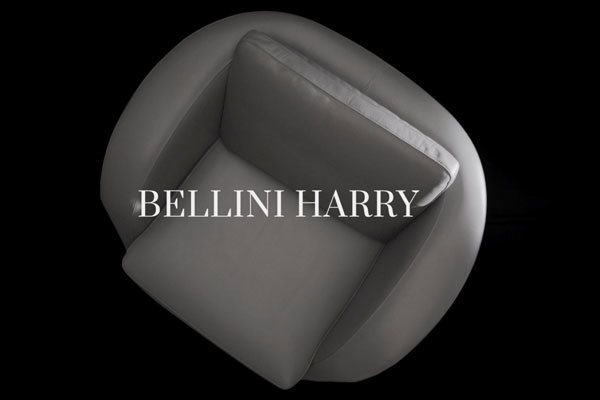 Bellini_Harry_video_dettaglio(1)