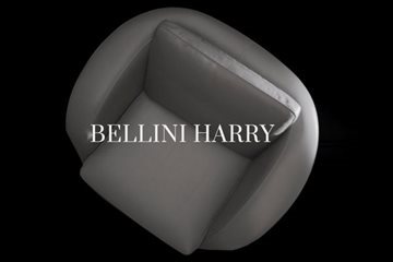 Bellini_Harry_video_dettaglio(2)