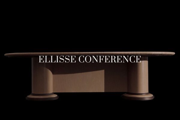 Elisse_COnference_video_dettaglio(3)