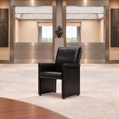 Mascheroni_Visitor_Armachair_VIP_V_thumb_2