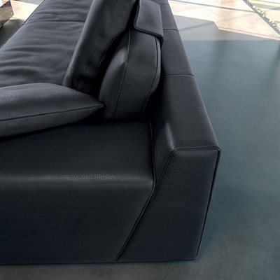 mascheroni_metamorfosi_particular